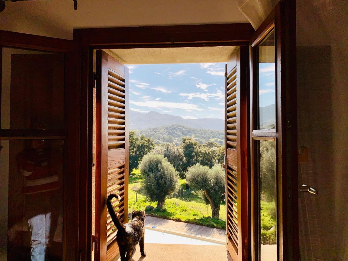 Sollacaro Domaine De Tappa - Casa Filicinaヴィラ エクステリア 写真
