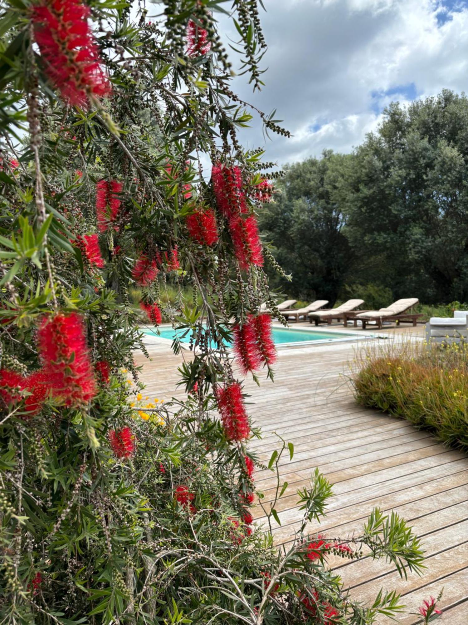 Sollacaro Domaine De Tappa - Casa Filicinaヴィラ エクステリア 写真