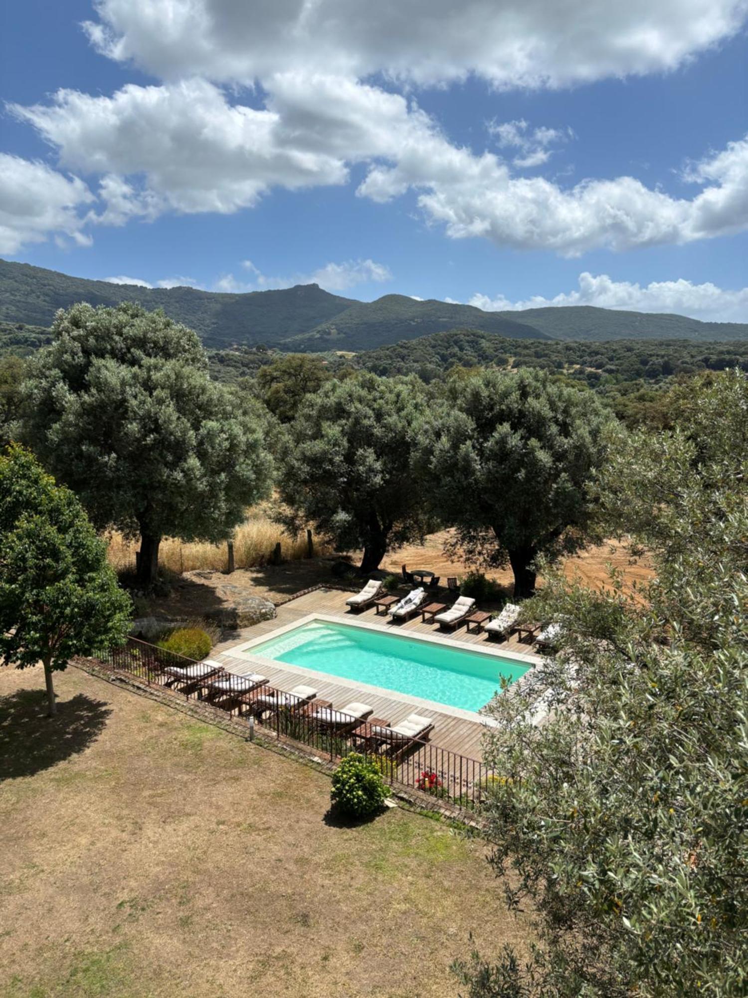 Sollacaro Domaine De Tappa - Casa Filicinaヴィラ エクステリア 写真