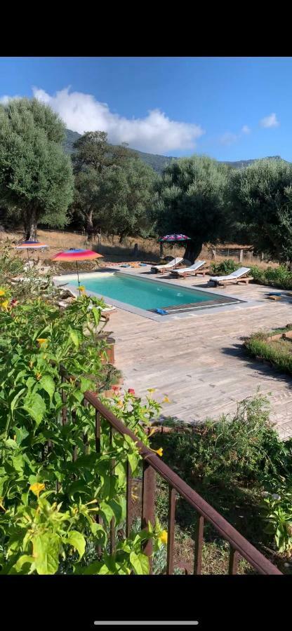 Sollacaro Domaine De Tappa - Casa Filicinaヴィラ エクステリア 写真